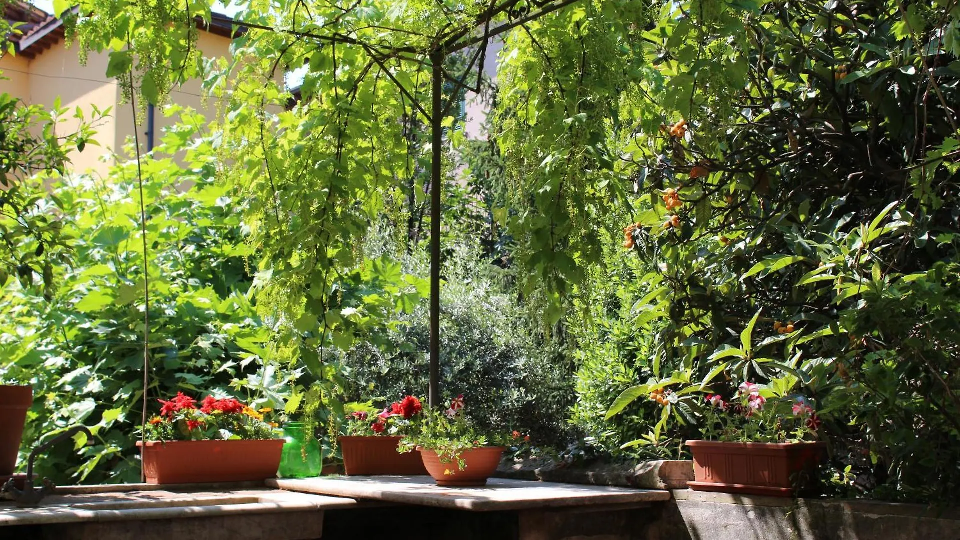 Pergolatoincentro Villa Pietrasanta